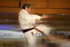 Saiko Shihan in full flight
